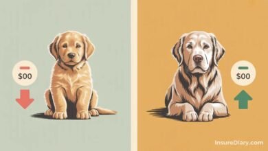 Puppy and senior dog side by side representing pet insurance age impact